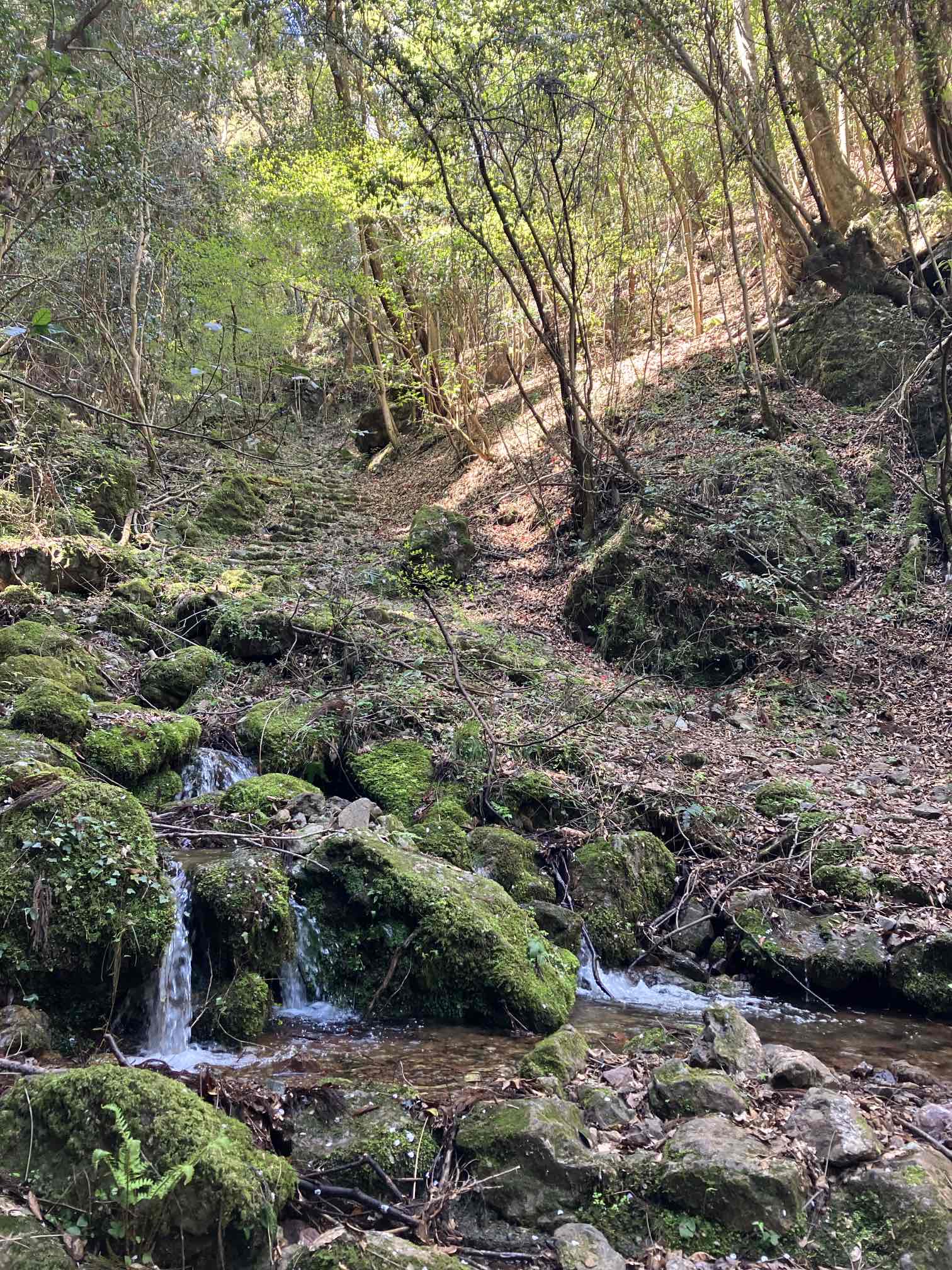 登山　成羽天神山