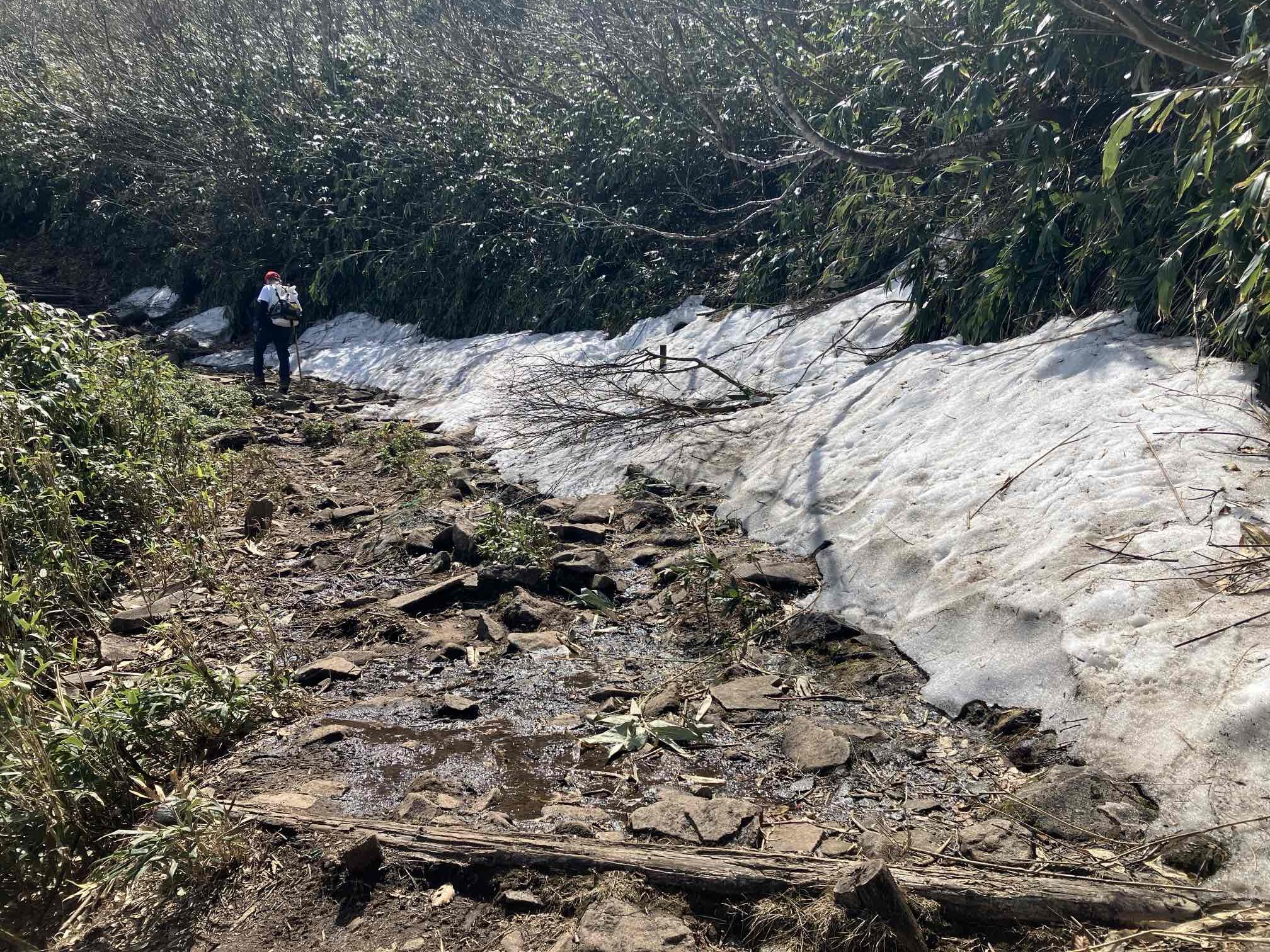 氷ノ山　登山
