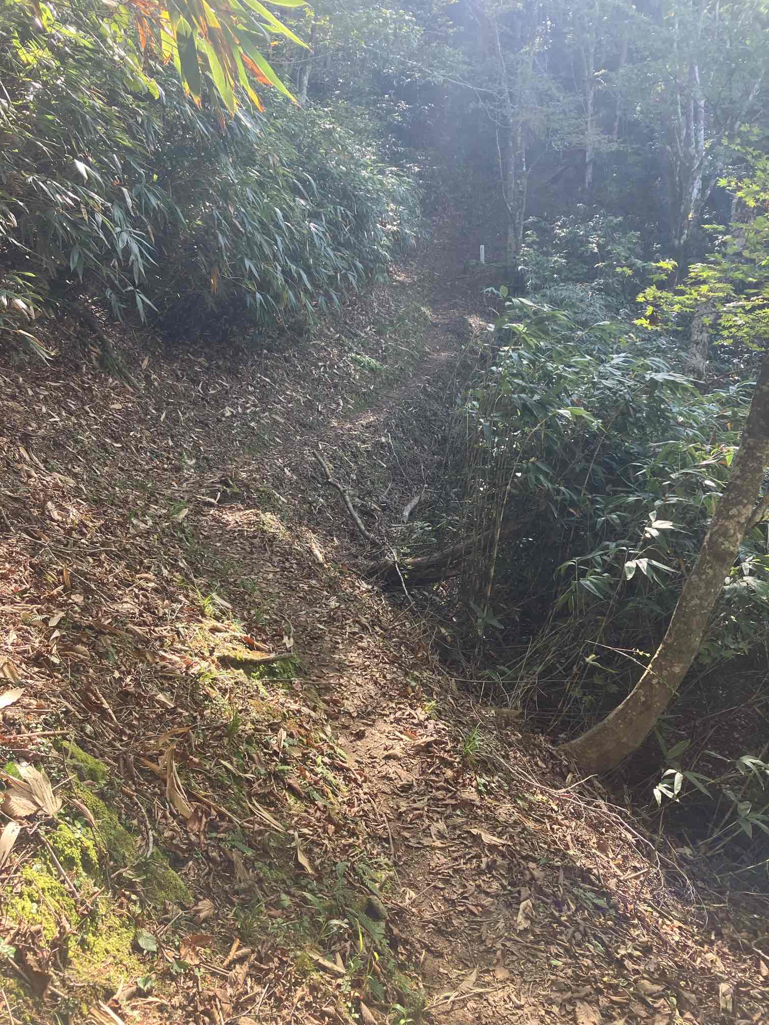 三ヶ上　登山